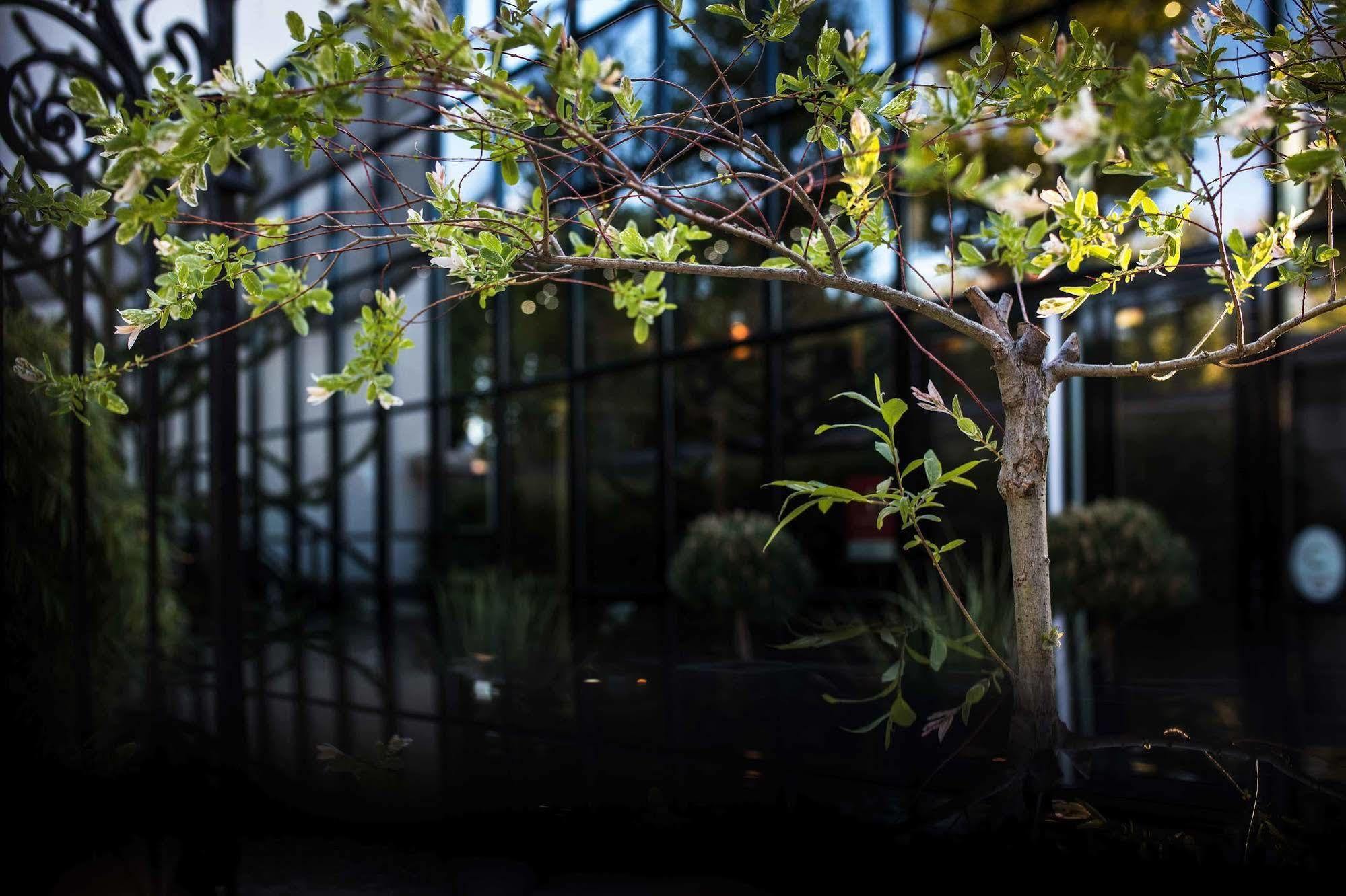 Maison Decoret - Relais & Chateaux Віші Екстер'єр фото